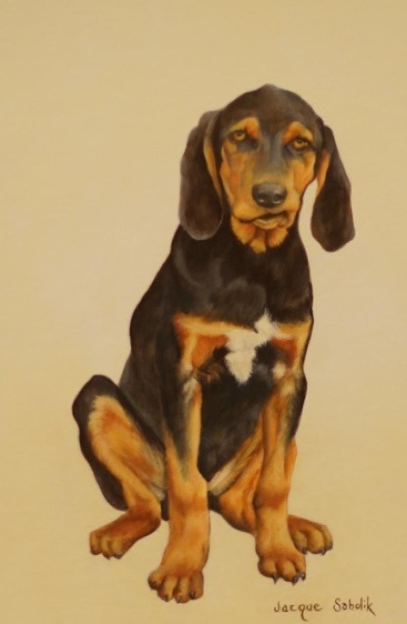 'Nothin but a Hound Dog by Jacque Sabolik - Artistic Merit Award (2nd Place)