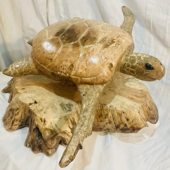 Thad Christiansen - Sea Turtle carved from wood - People's Choice Award