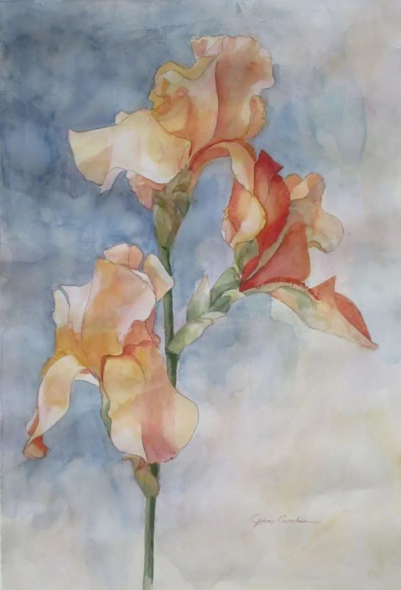 Apricot Afternoon II by Jean Crocker