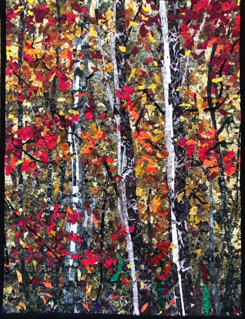 Autumn Birch and Maple - Carol Holmblad