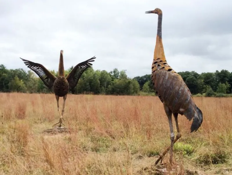 Dance of the Sandhill Cranes by Keith Raivo