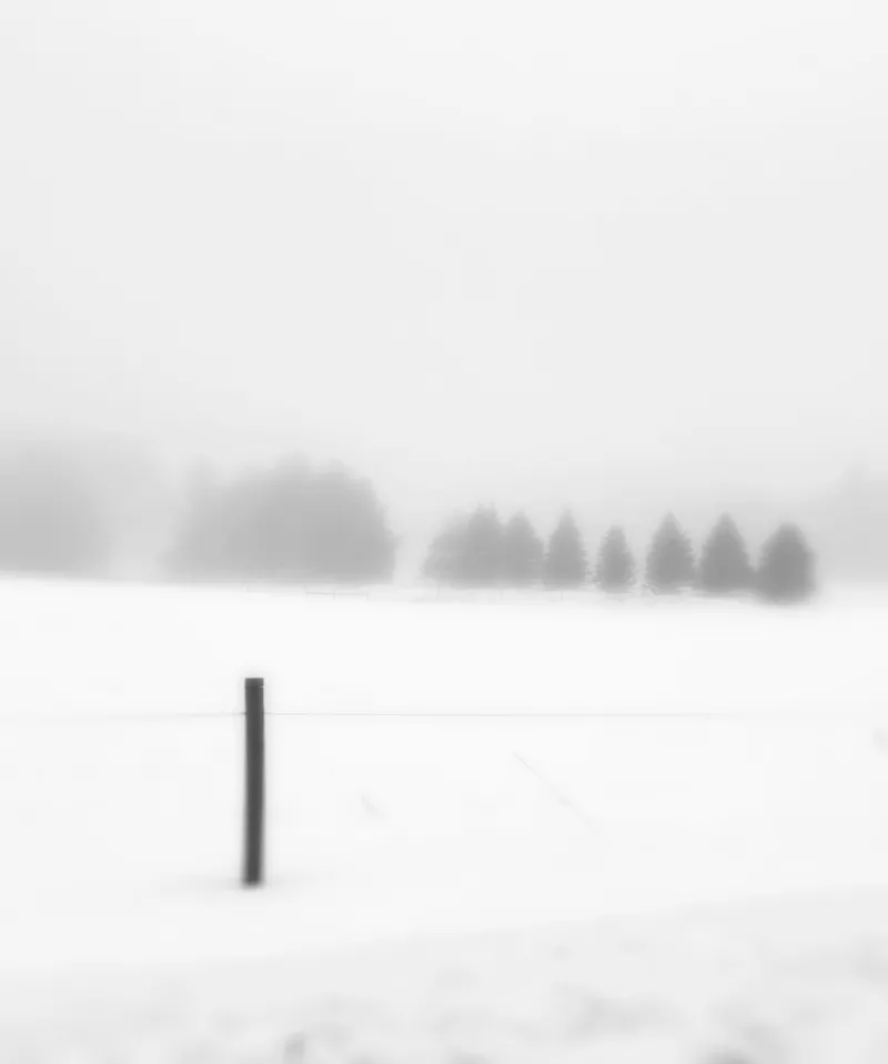 Winter #11 by Dennis Jenereaux - Merit Award, Photography