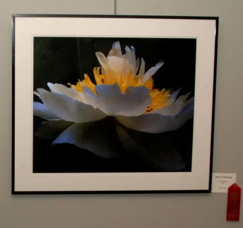 Second Place Photography - “Bowl of Beauty”, by Dee Kotaska of Mora