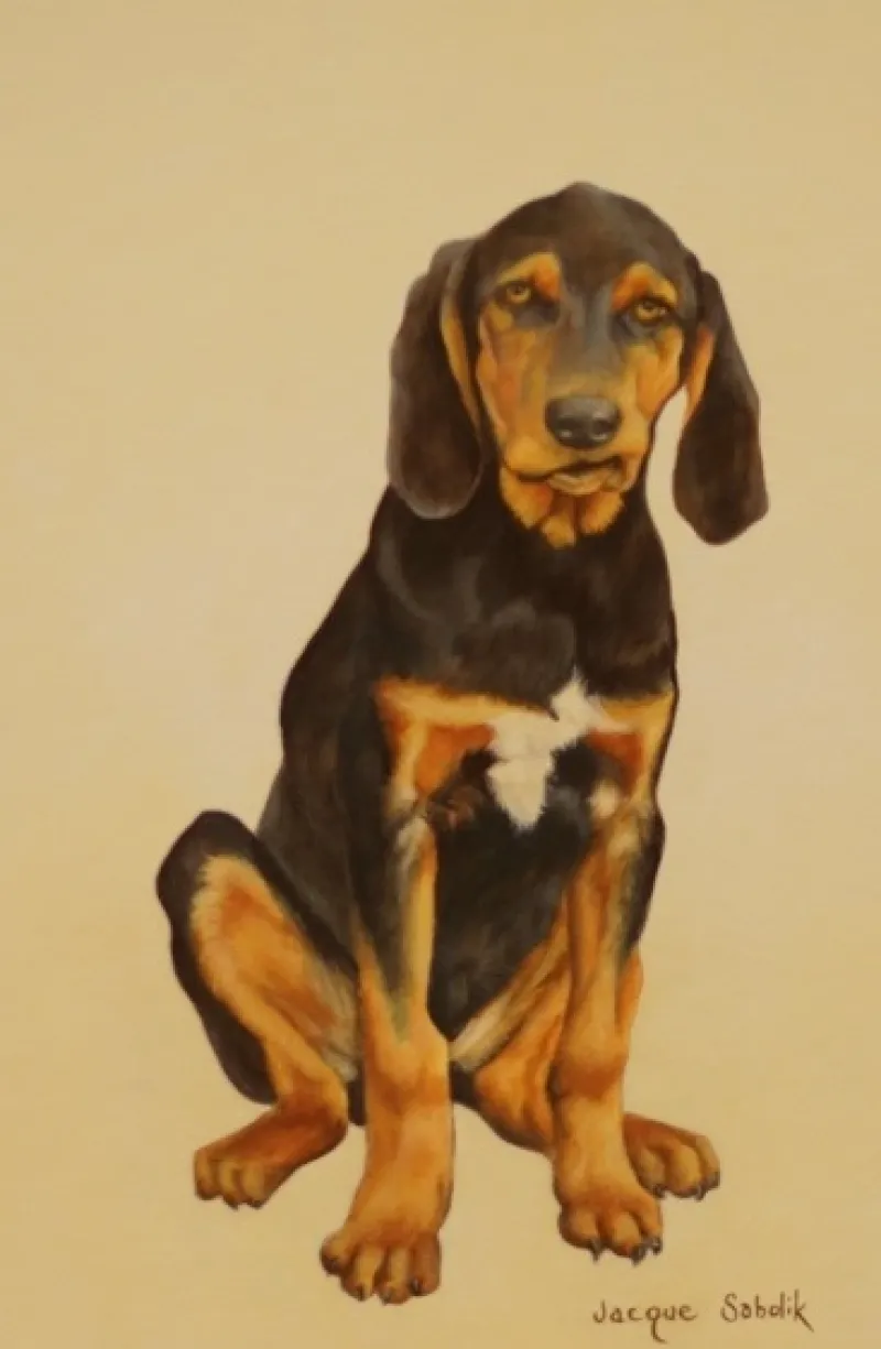 'Nothin but a Hound Dog by Jacque Sabolik - Artistic Merit Award (2nd Place)