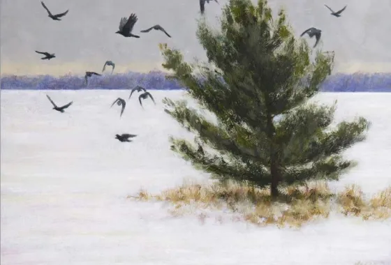 Crows and a Pine by Nathan Hager