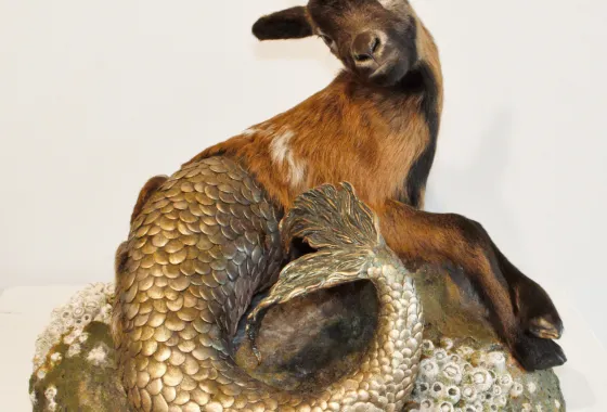 Unicapricorn, taxidermy and mixed media by Jana Merten of North Branch, MN