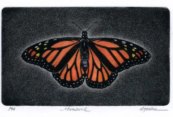 Monarch by David Spohn