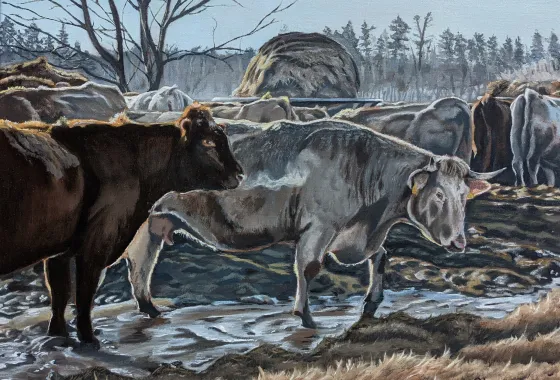 Morning with the Cattle by Robert Olson - Oil paint - Award of Merit