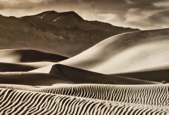 Waves of Sand, photography by Nancy Haugen of Princeton, MN