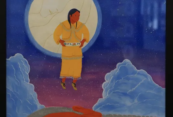 Ziibaaska’iganagooday Bwaajigan (Dream Vision of the Jingle Dress)