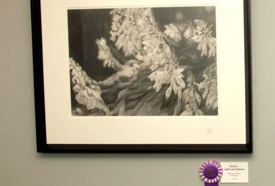 Hostas- Light and Shadow by Marilyn Cuellar. Best in Show at IMAGE 2014