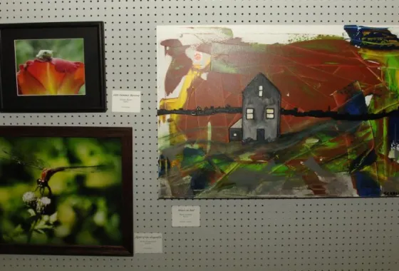 IMAGE Art Show 2014